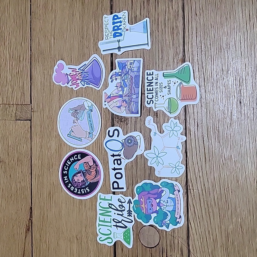 10 Matte Woman in Stem Stickers
